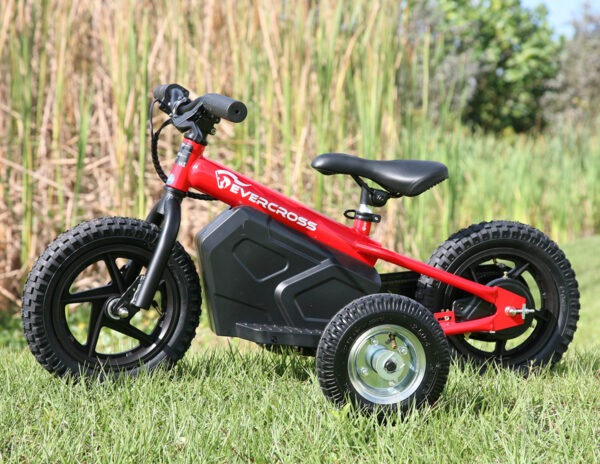 Training Wheels for Evercross EV06M Electric Bike for Kids